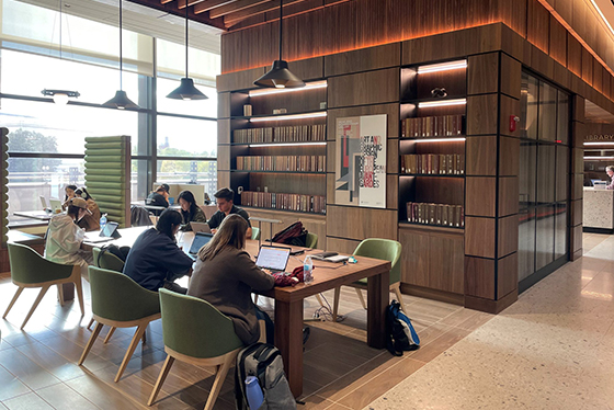 students studying in the Frary library